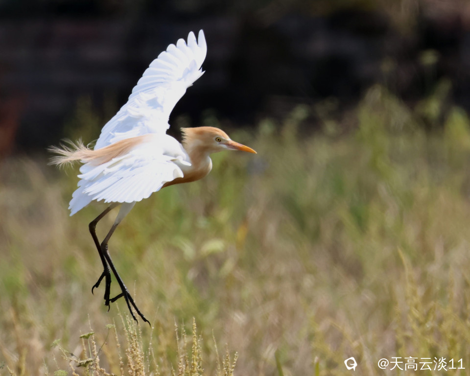 5D2A5747_副本.jpg