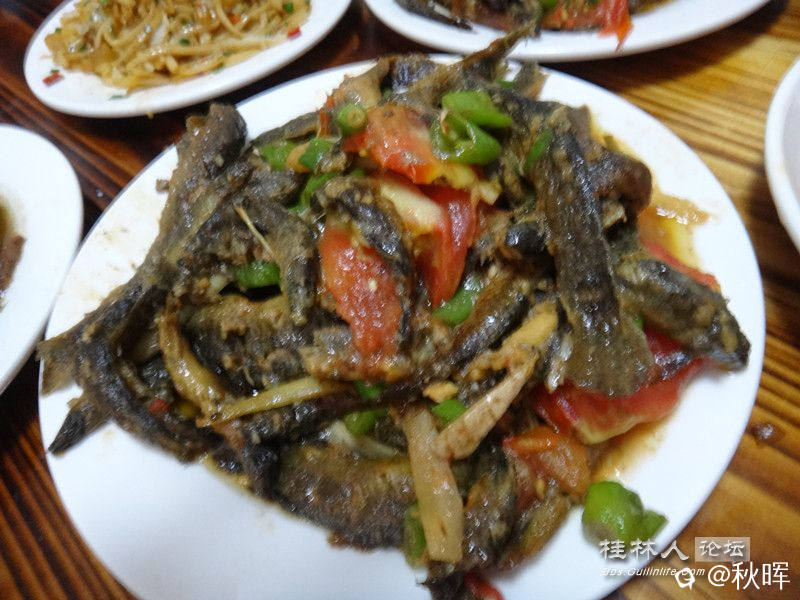 DSC07281_副本.jpg