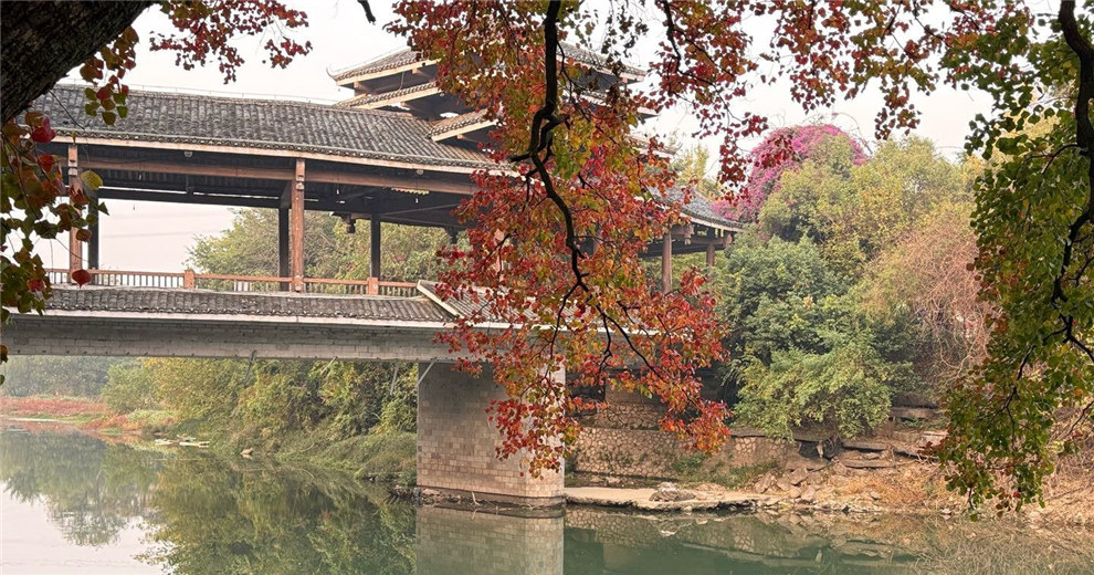 和骚气的爬山搭子游鲁家村爬芳莲岭