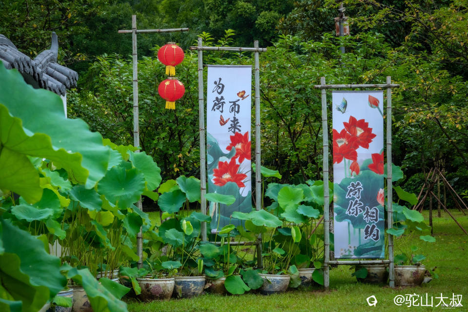 DSC09508-0_副本.jpg