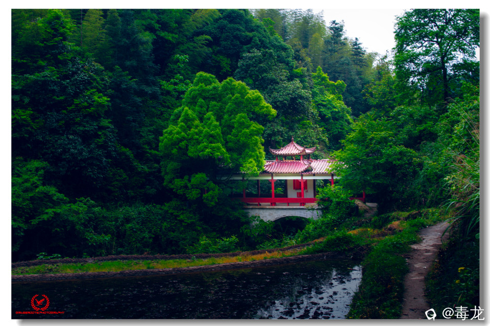 _DSC7954 拷贝_副本.jpg