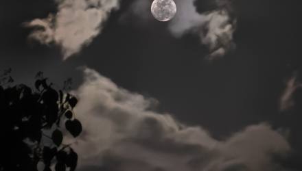 举头望明月，今晚桂林的月亮很美