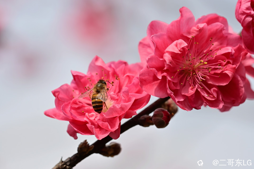 EGD_9107_副本.jpg