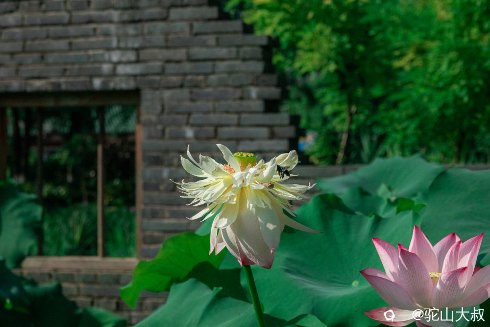 DSC04453-0 - 副本.jpg