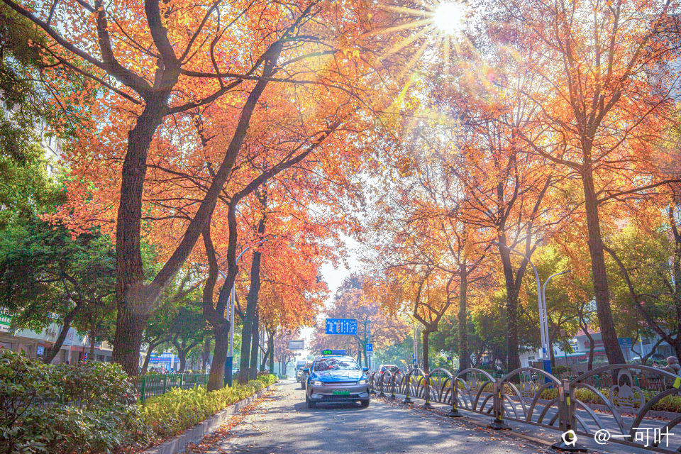 a6《冬日示范街～醉美七星路》组照6、毛家彦13907736065、IMG_6723.jpg