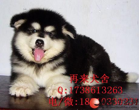 	 ���ְ���˹�� �Ǽܴ� Ʒ��� ���ÿɰ� ��ĸȫ��