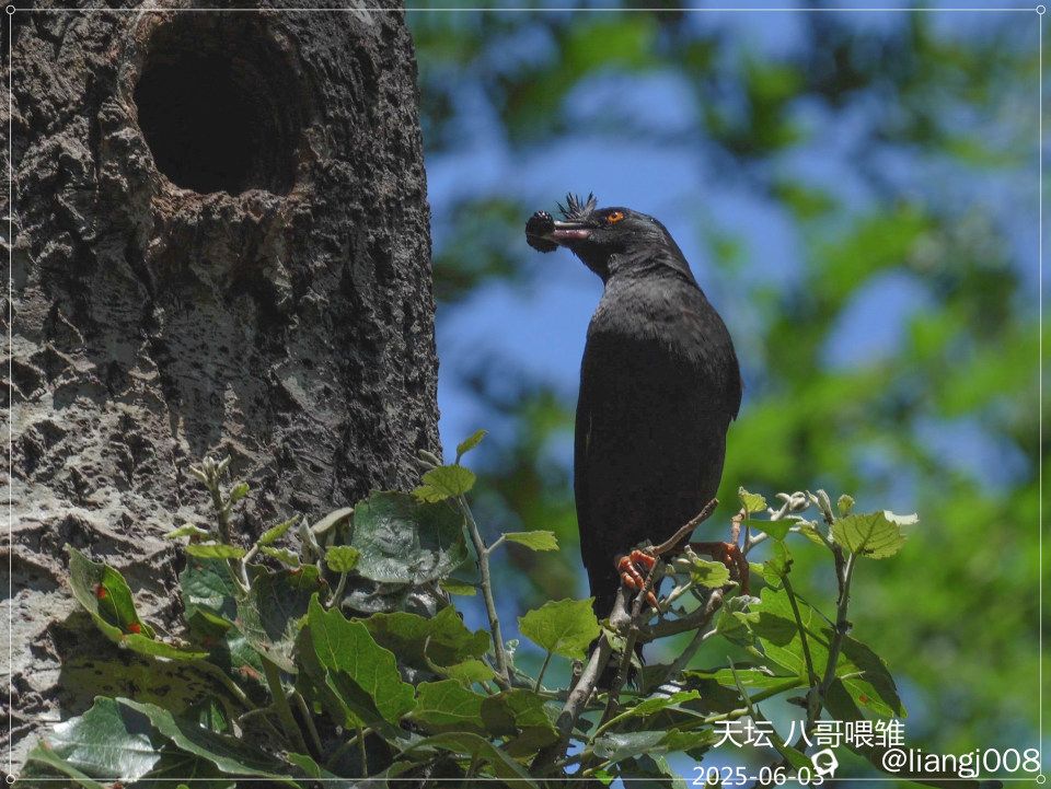 C0010-6 - 副本_副本.jpg