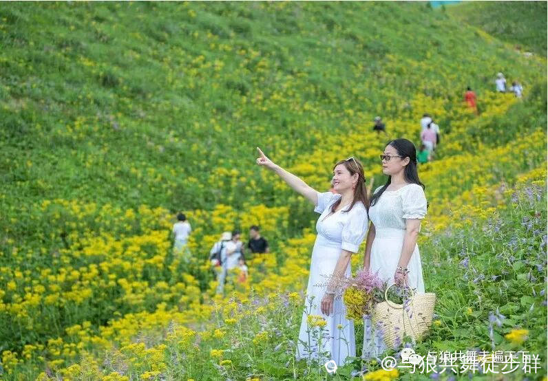 截图202407031849396294.jpg