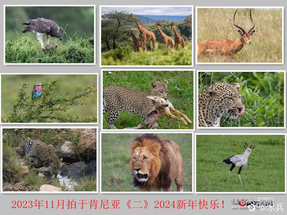 initpintu_副本.jpg _副本.jpg