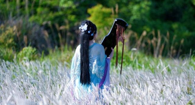 桂林大河坊白毛草太美了