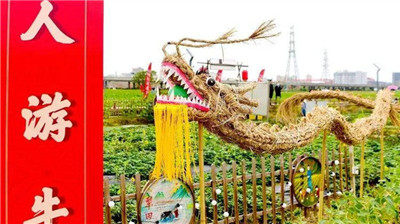 《知青记忆》：端午，龙舟，龙