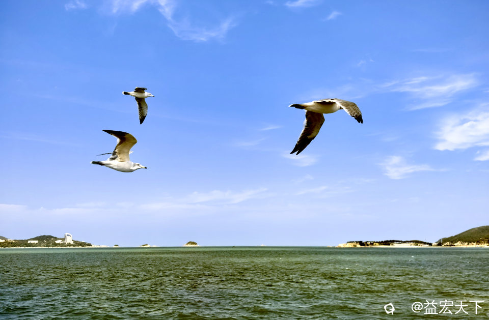 IMG_20260917_123514.jpg