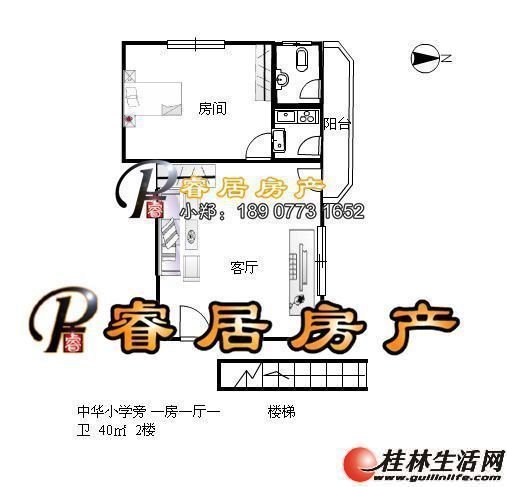 T �л�+����˫ѧ����һ���ӵ�ѧУ��һǽ֮���� ����� �����л�Сѧ�� 1��1�� 2¥  38