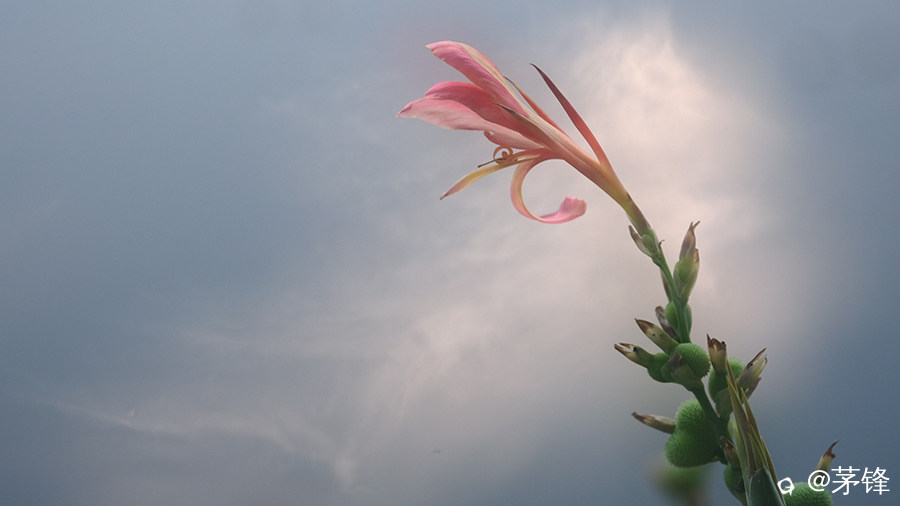 DSCF8877.jpg