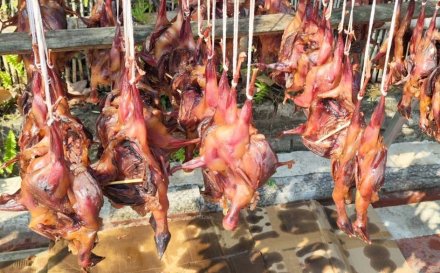 聞到臘肉香和尚也跳墻