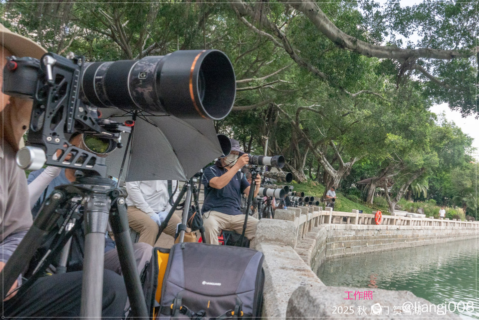 筼筜湖 工作照