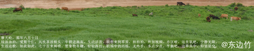 115_副本.jpg