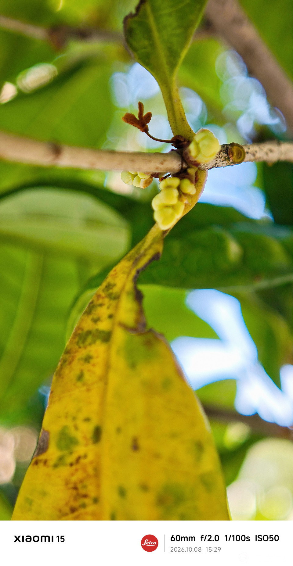 ad7e426a-6a40-b6b9-ca72-09229f57bef1.jpg