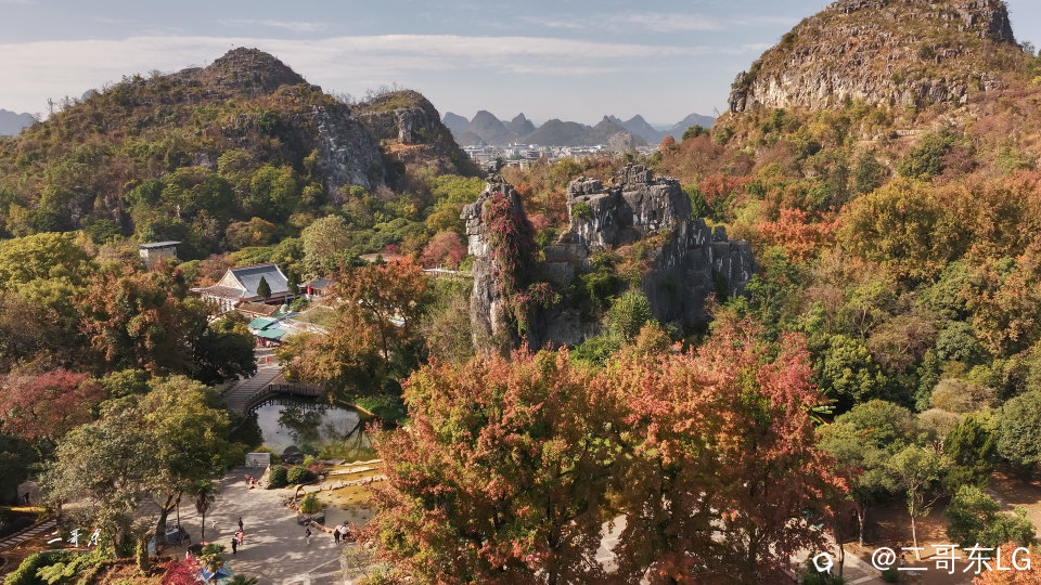 骆驼赤霞 (6).jpg