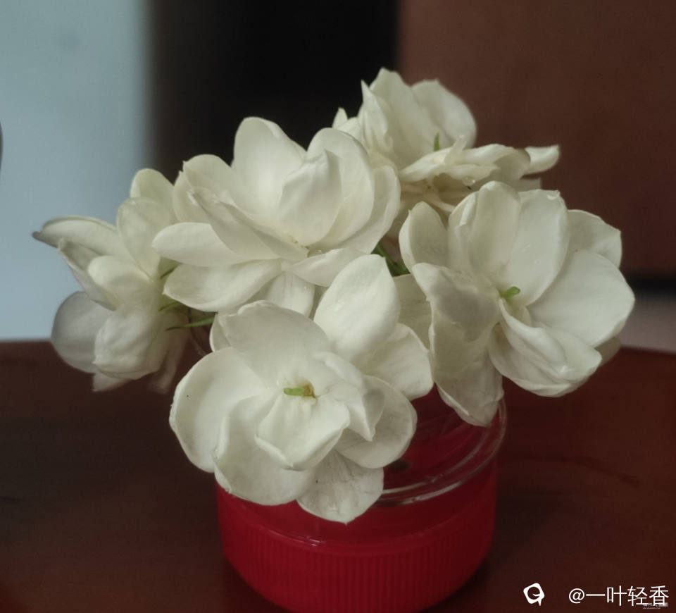 微信图片_20250523170310.jpg