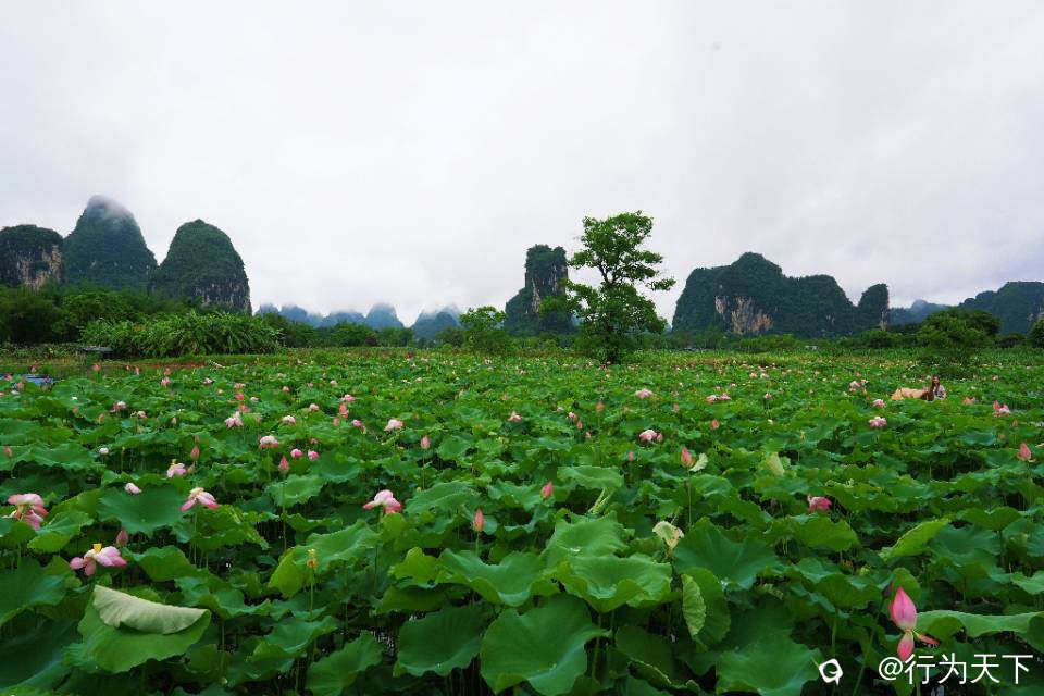 ad8e3983-9c7c-8acf-7308-169a343bf310.jpg