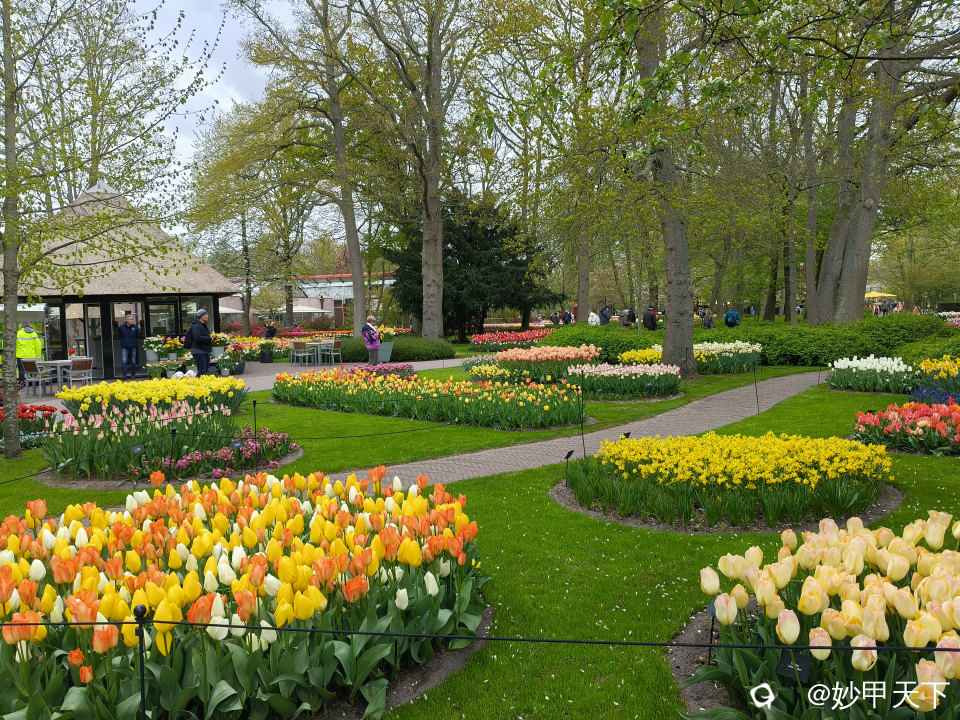 IMG20260420092443.jpg