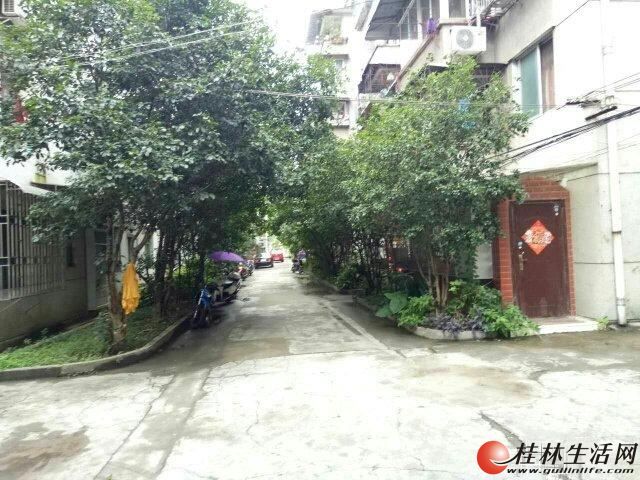 �ź�ѧ�� ����·ʦר����3��1�� 75�O2¥43��