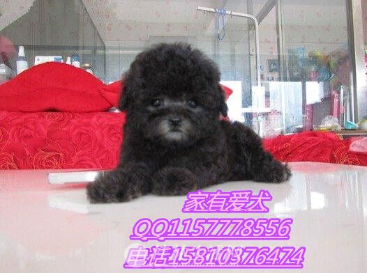 �����������̩��  ̩�϶���Ǯ  ̩�Ϻ�������