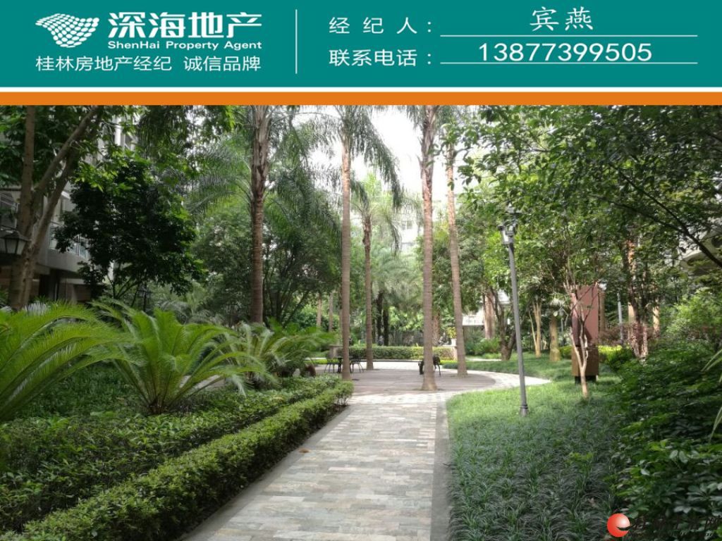Y���Ű뵺2¥2+1��2��2��3��̨115.3ƽ140��