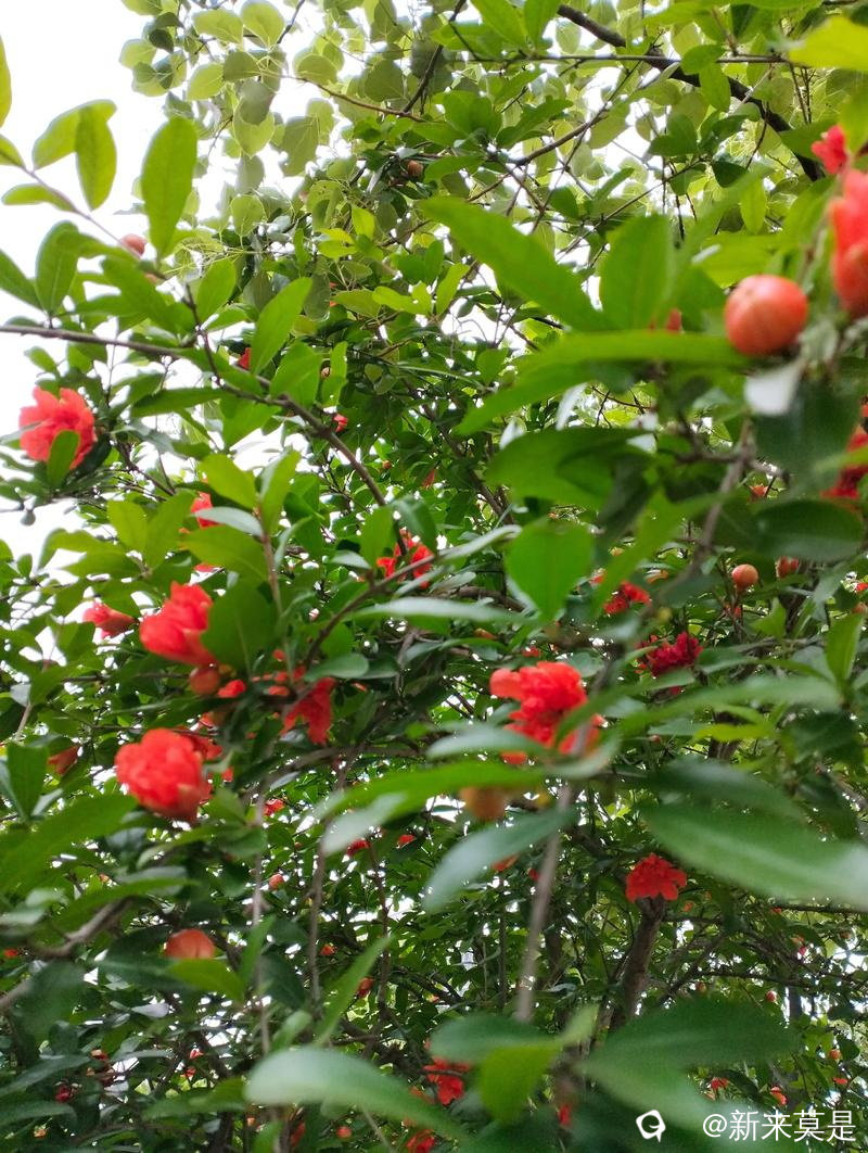 u=1227971265,3891478717&fm=253&app=138&f=JPEG_看图王.jpg