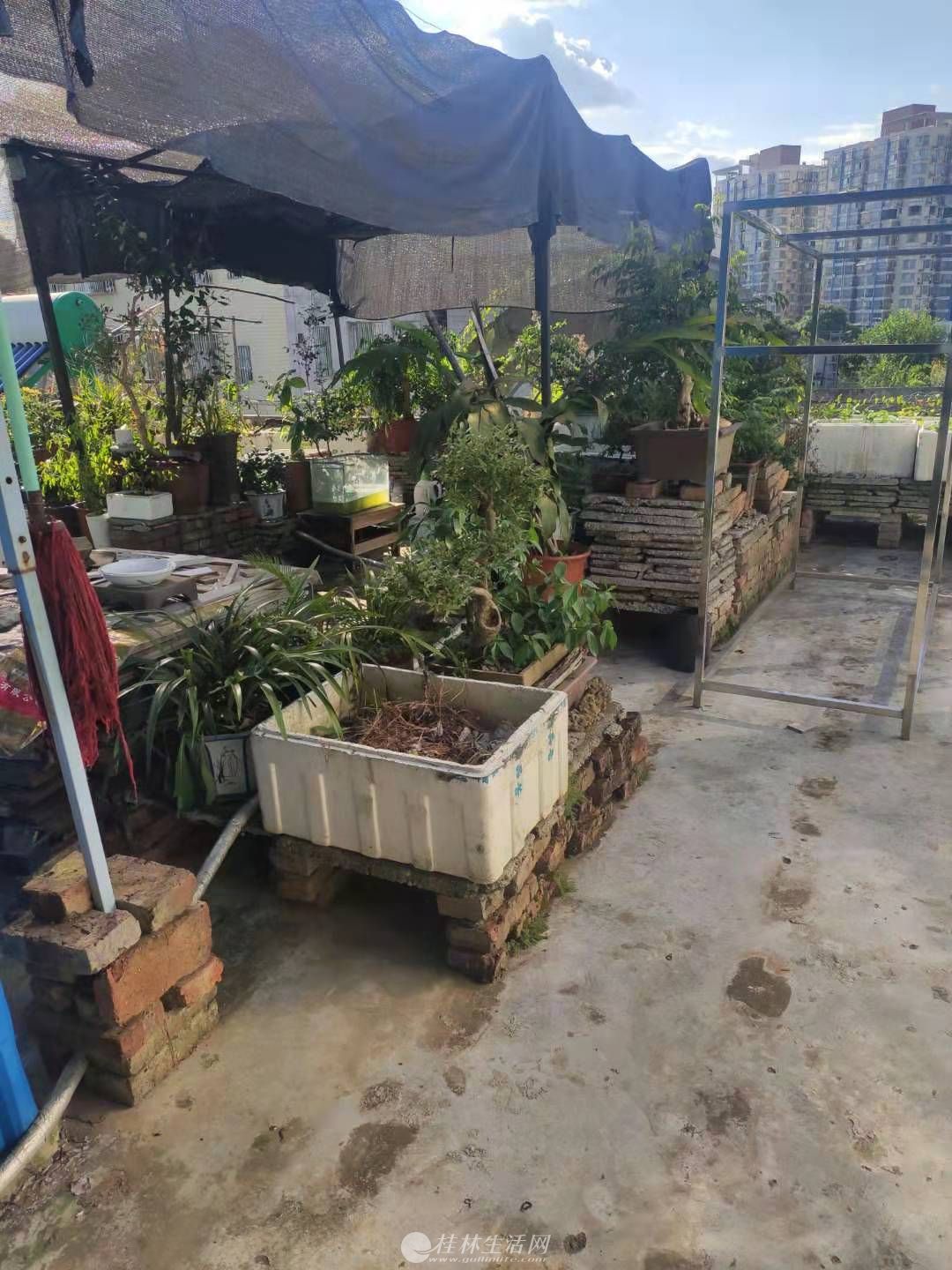 �����е����������㳡���С������һ��һ��77ƽ���ۼ�39��