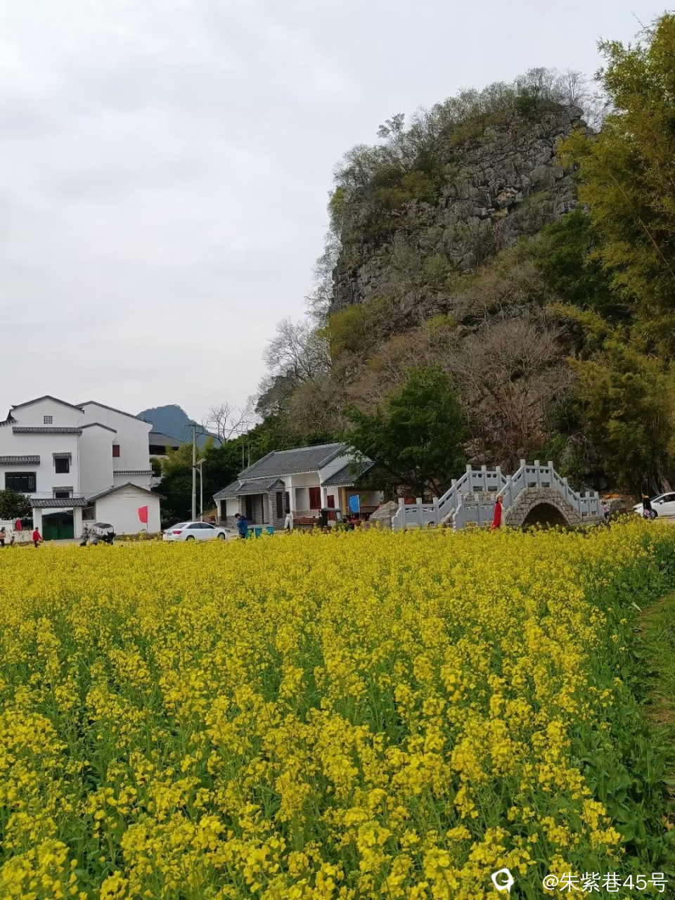 Image_1708787116371.jpg