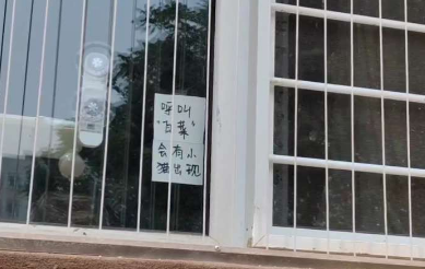 呼叫“白菜”就会有小猫出现！小猫：怎么谁都认识我啊？