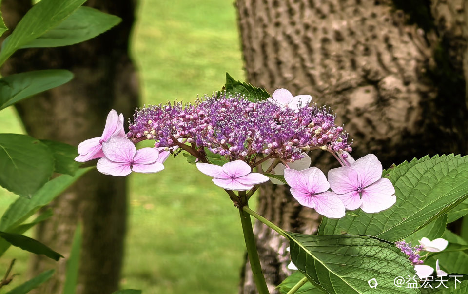 IMG_20260514_103431.jpg