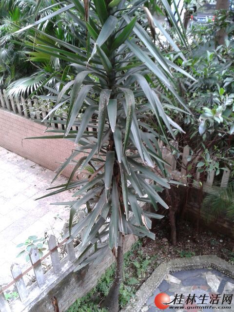 ��һ���񽶡�һ����������