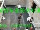 ˷ˮ©ǽ©绰ǽˮ©нӷ©ˮ
