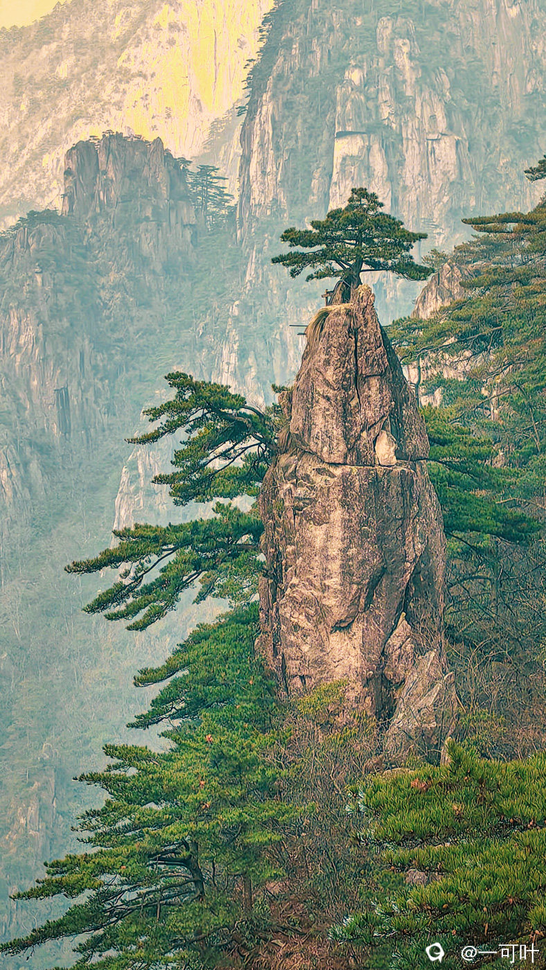 《黄山松》3.IMG_20240307_161655-01.jpg