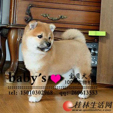 �������ֲ�Ȯ��Ȯ����Ǯһֻ������