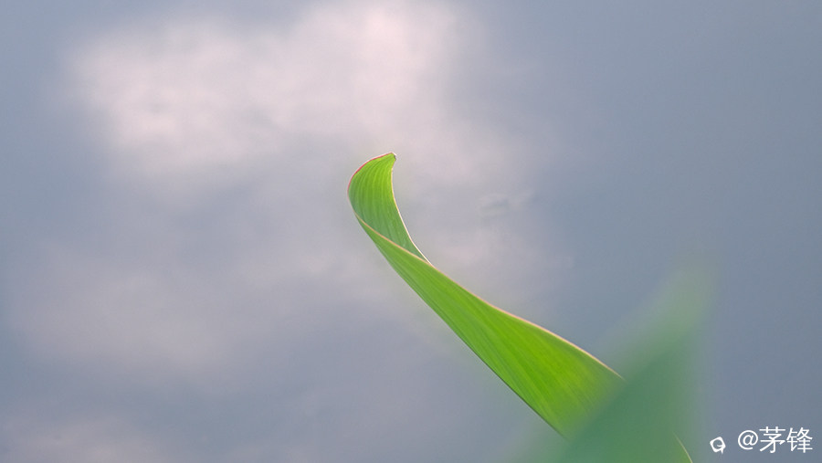 DSCF8847-2.jpg