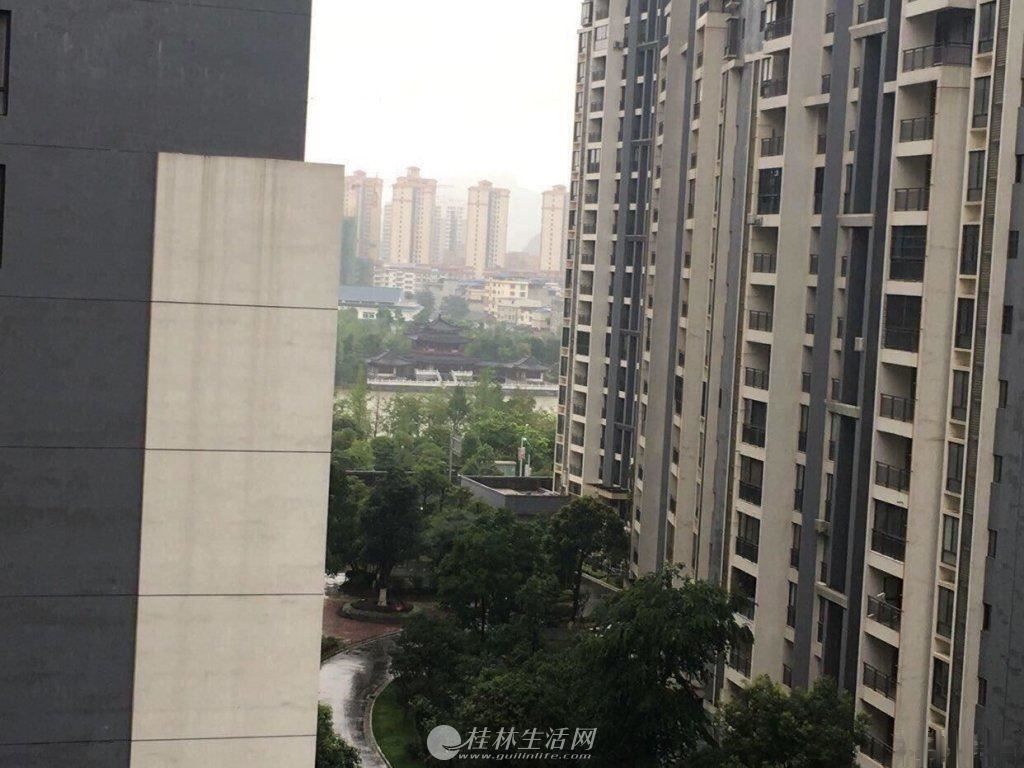 xf�ٹ����� ��ı��� ���ݴ幫��ԱС�� ��3��2��2�� ��ˮ��