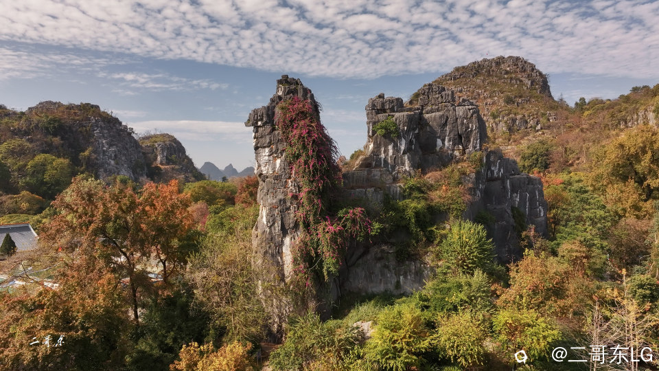 骆驼赤霞 (7).jpg