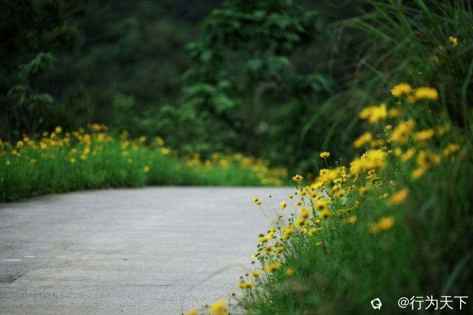 f09a9d2b-44ab-7a57-0c58-2246c10b2d78.jpg