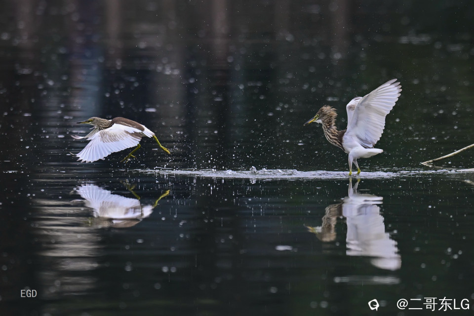 你瞅啥瞅你咋地 (12).jpg