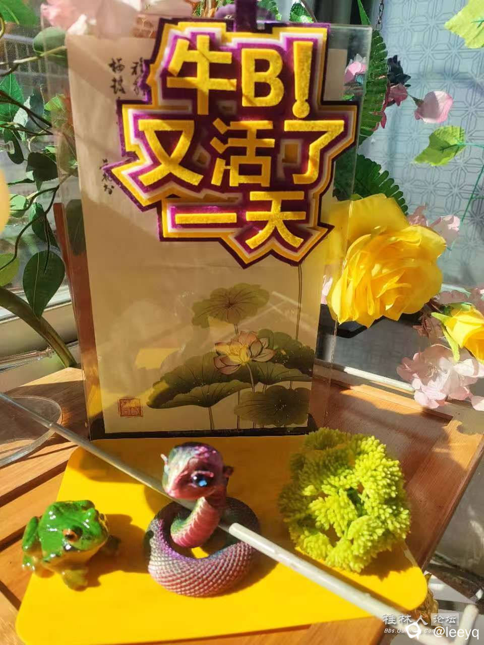 微信图片_20251114114710_597_267.jpg