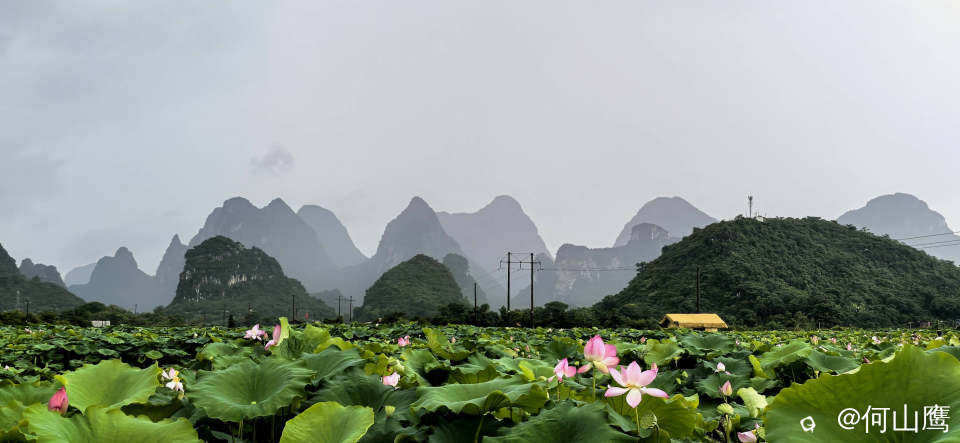 14022958-8f86-519f-4a89-d776b0d746d0.jpg