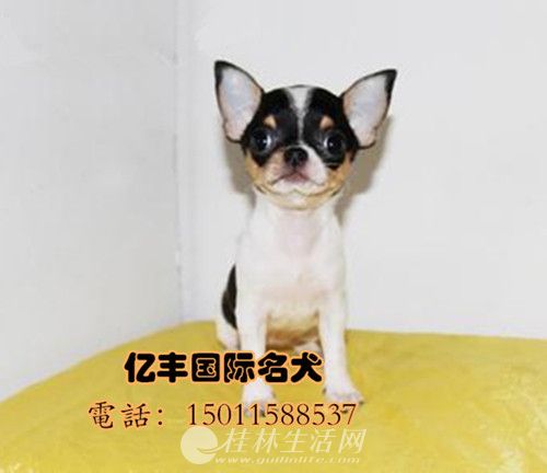 ������������Ȯ����Ǯ ���ּ�����������