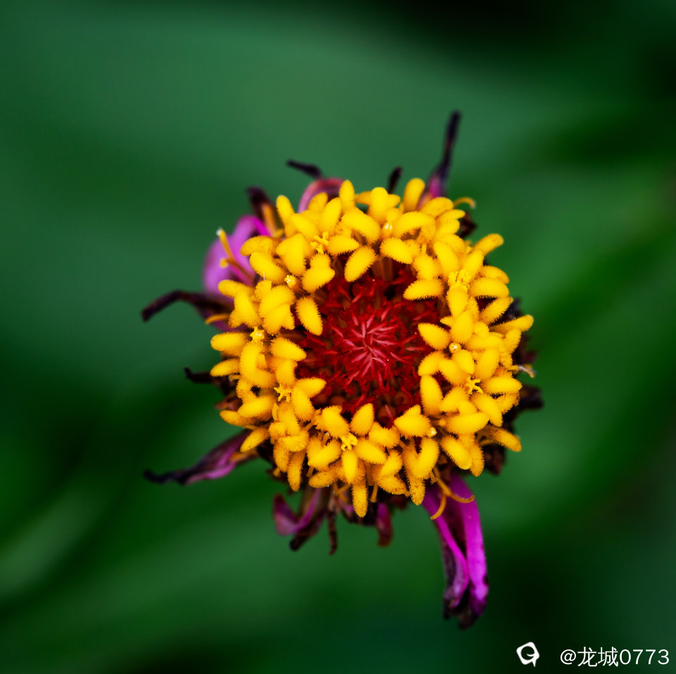 1X4A5829.jpg