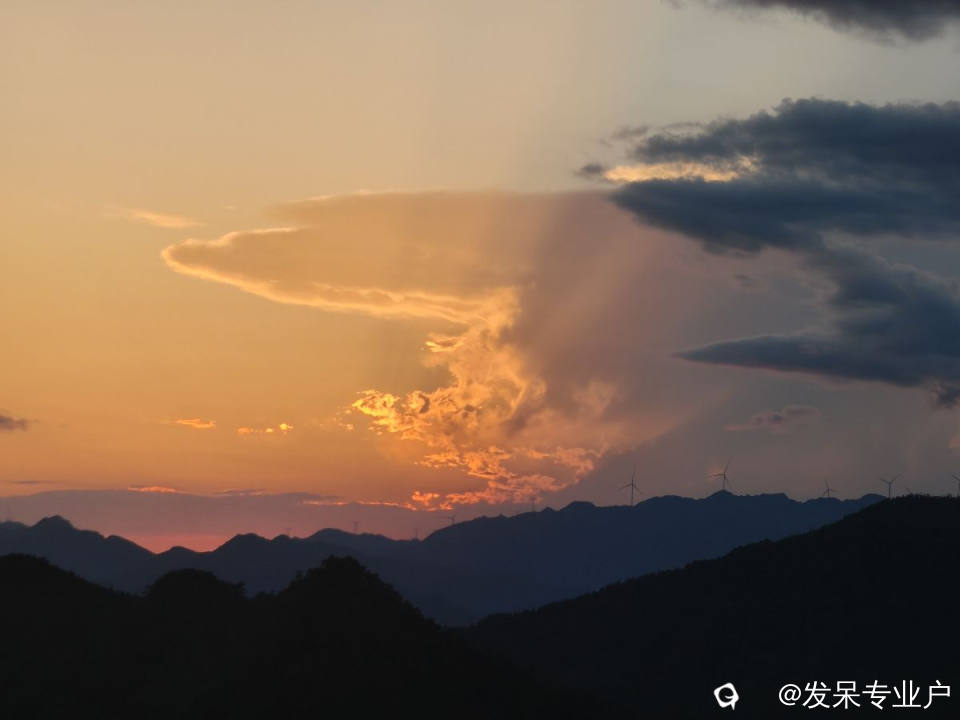 9b9f2117-3866-9401-7aab-41d3cf28a701.jpg