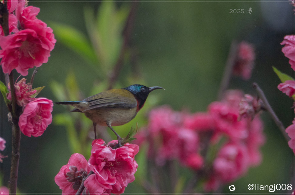 DSC07707_副本.jpg