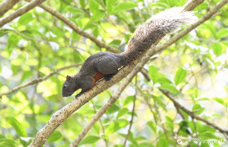 DSC_5503_副本.jpg